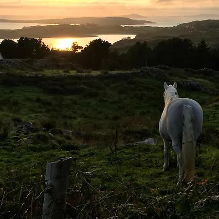 Seafield House Bed and Breakfast Clifden