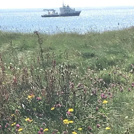 Seafield House Bed & Breakfast Clifden