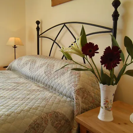 Bed and breakfast Seafield House 3*