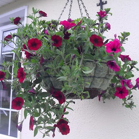 Bed and breakfast Seafield House Clifden