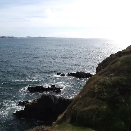 Seafield House Bed and breakfast