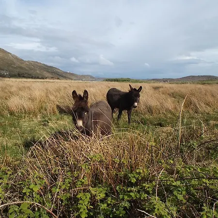 Seafield House 3* Clifden