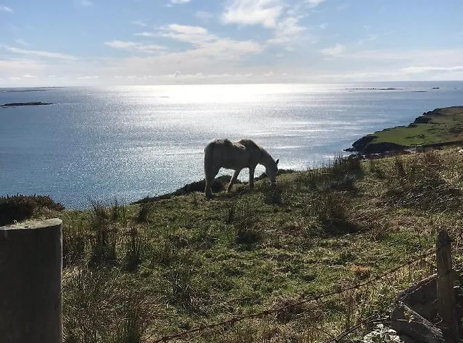 Seafield House Clifden