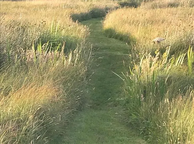 Bed & Breakfast Seafield House Clifden