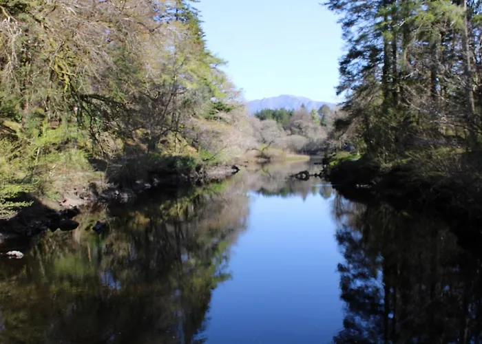 Bed & Breakfast Seafield House 3*