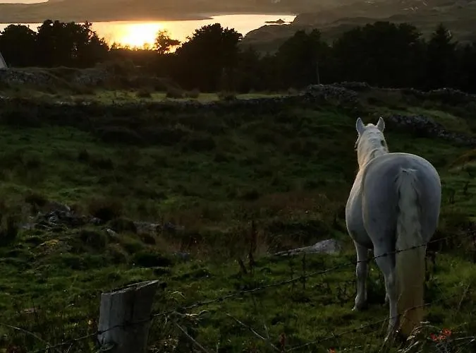 Seafield House Bed & Breakfast Clifden