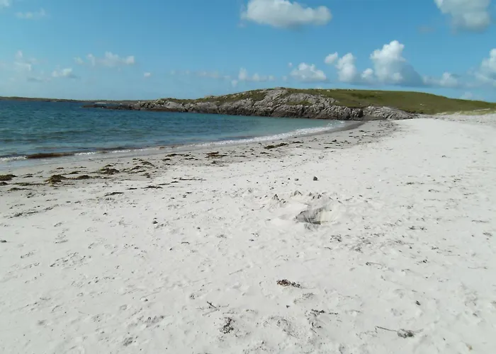 Bed & Breakfast Seafield House