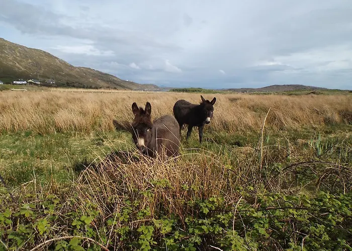 Seafield House 3* Clifden